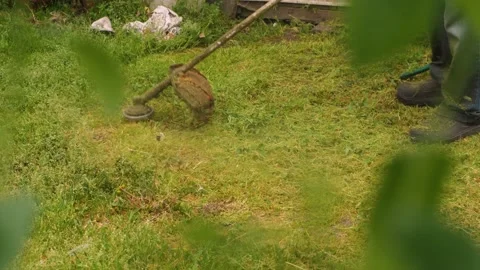 A trimmer mowing dense green grass in the backyard. Green leaves of a fruit tree Stock Footage 190880263