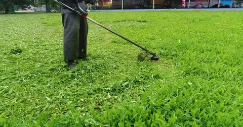 Trimmer shears grass Video stock 82700855