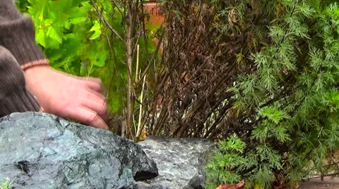 Trimming bushes Stockbeeldmateriaal 55384456