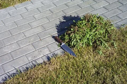 Trimming grass around path Stockfoto's