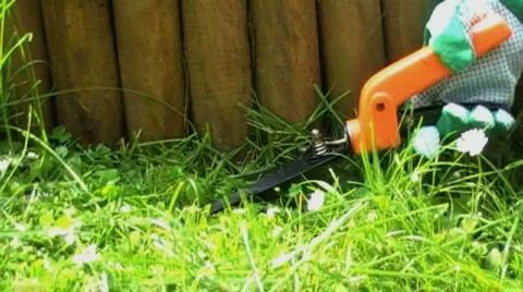 Trimming grass Stock Footage 572379