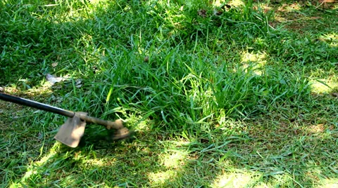 Trimming grass  Stock Footage 37048578