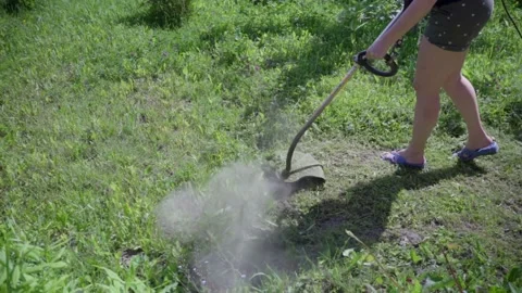 Trimming grass Stock Footage 199092623