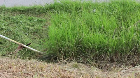 Trimming Grass. Grass cutting service. Stock Footage