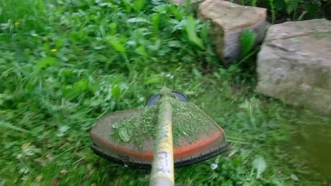 Trimming grass mower Stock Footage 82037782