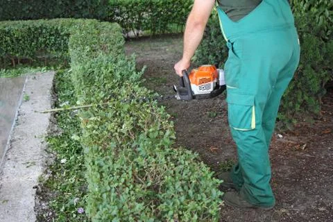 Trimming hedge Stock Photos
