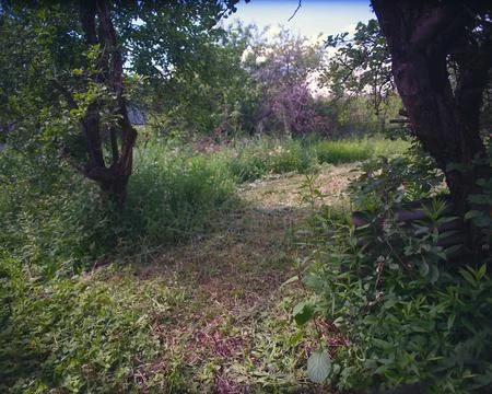 Trimming a path Photos