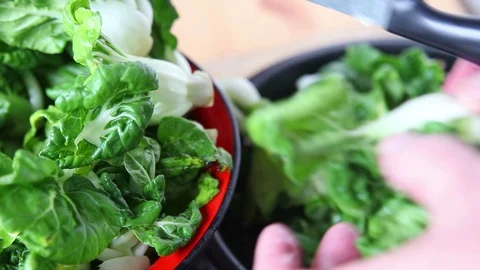 Trimming small bok choy Stock Footage 104781559