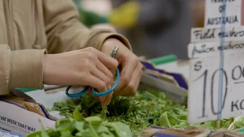 Trimming snow peas Stock Footage 90407789