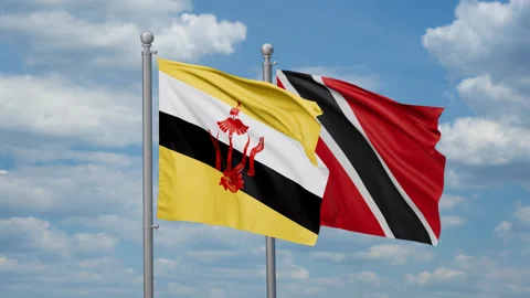 Trinidad and Brunei two flags Stock Footage 271309822