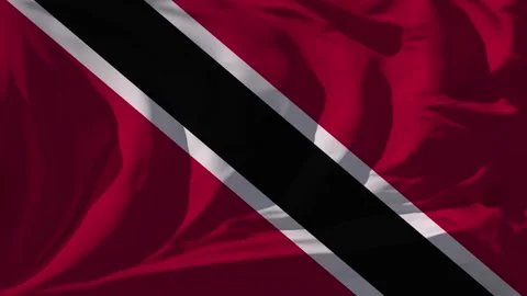Trinidad and Tobago Flag Loop Stock Footage 295742904