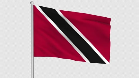 Trinidad Flag Stock Footage 225336768