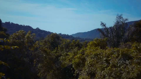 Trinidad - Northern Range Stock Footage 310259699