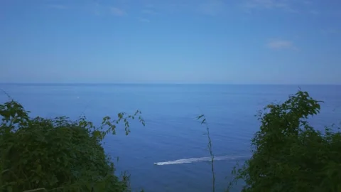 Trinidad - Northern Range Stock Footage 310259701
