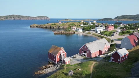 Trinity Bay North, Newfoundland, Canada 8 Vidéo 319598666