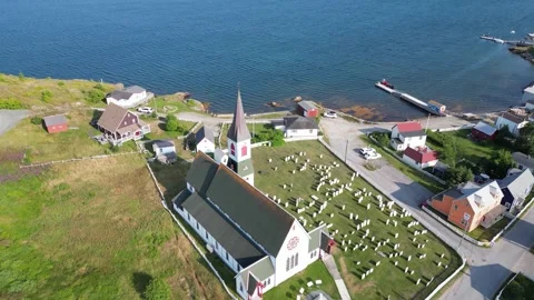 Trinity Bay North, Newfoundland, Canada 13 動画素材 319598674