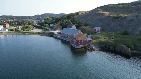 Trinity Bay North, Newfoundland, Canada 15 Stockbeeldmateriaal 319598677