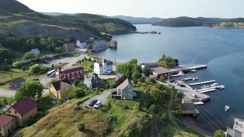 Trinity Bay North, Newfoundland, Canada 14 스톡 동영상 319598678