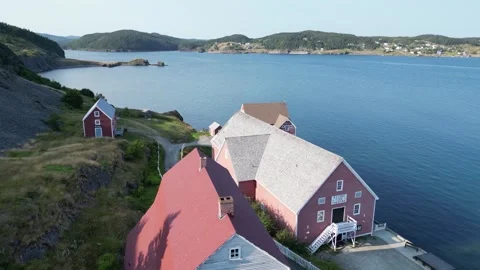 Trinity Bay North, Newfoundland, Canada 17 Vídeos de archivo 319598679