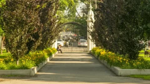 Trinity Bellwoods #2 動画素材 52626904