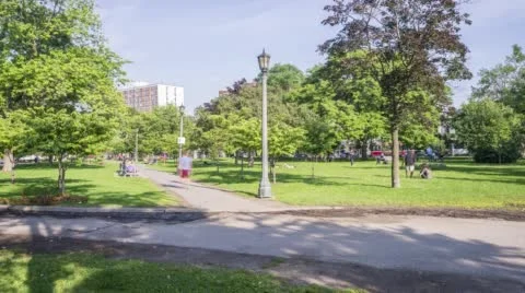 Trinity Bellwoods 스톡 동영상 52625877