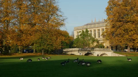 "Trinity College Bridge" "River Cam" Cambridge Stock Footage 56709581