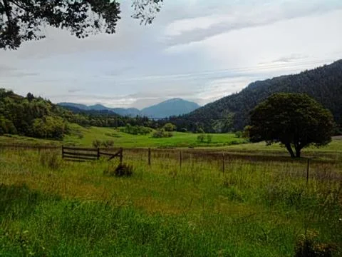 Trinity Stock Photos