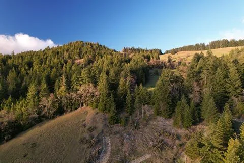 Trinity Stock Photos