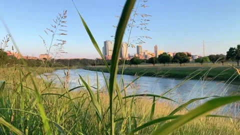 Trinity River Fort Worth Grass Stockbeeldmateriaal 155979562