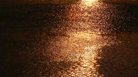 Trinity River Sunset reflections in water Video stock 51421321