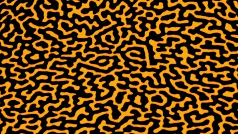 Trinity Spin 库存影片 107498427