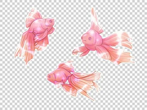 Trio of Fish: Harmony in Motion Stock Illustration