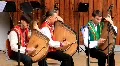 Trio HD Footage