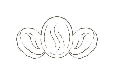 A Trio Of Roasted Coffee Beans In A Simple Line Art Style Vector Illustration 스톡 일러스트
