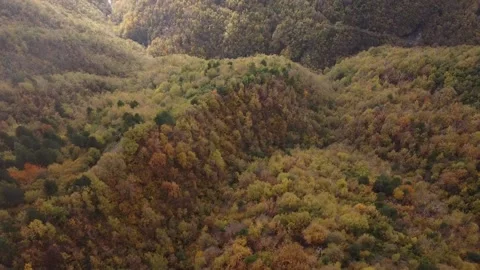 Triora 3 Video stock 162261327