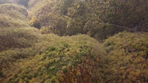 Triora 4 Video stock 162261329