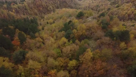 Triora 5 Video stock 162261322