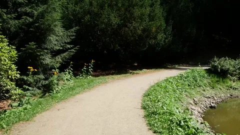 A trip along forest trails. 動画素材 91382575