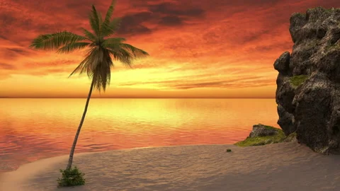 A trip to the beach with a palm tree and a rock at sunset by the sea. Stock Footage 194530225