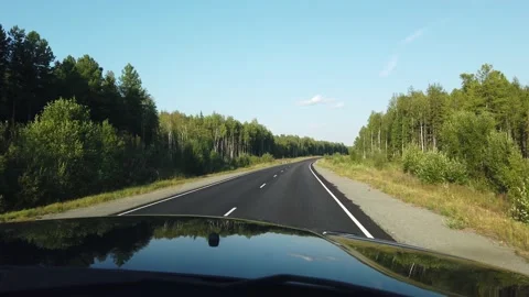 A trip by car on the road in the forest. View of the road from the car. Stock-Footage 157426188