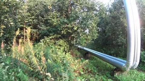 A trip by car on the road through the forest. The view through the side window Stock Footage 71814596