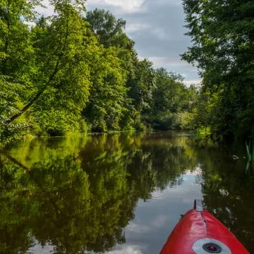 A trip on a catamaran through the quiet forest river on beautiful sunny summe Stock Photos