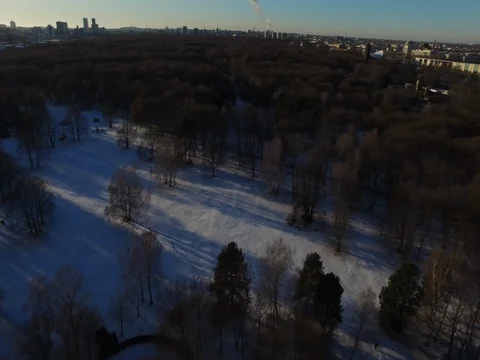 A trip with the drone above Tiergarten, in winter, sun and snow, Berlin, aerial. Stock Footage 80423219