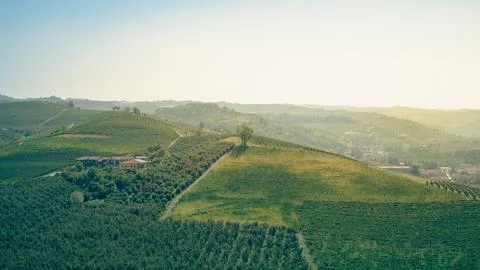 Trip to the Langhe, among the vineyards of PIemonte in Italy Stock Photos