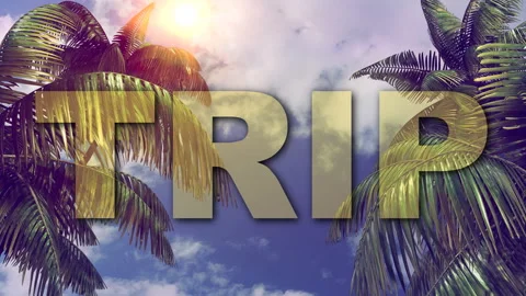 Trip LOGO against the background of a palm forest Stock Footage 90264342