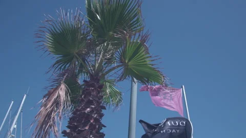 Trip to Mediterranean Sea Stock Footage 152085379
