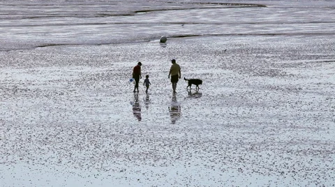 Trip in the mudflat of the North Sea Stock Footage 61829497