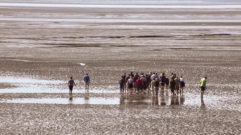 Trip in the mudflat of the North Sea Stock Footage 61830291
