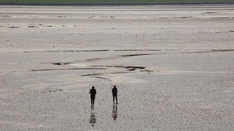 Trip in the mudflat of the North Sea Stock Footage 61833216