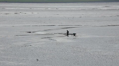 Trip in the mudflat of the North Sea Stock Footage 61833871
